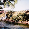 RiverKwai_Coconuts